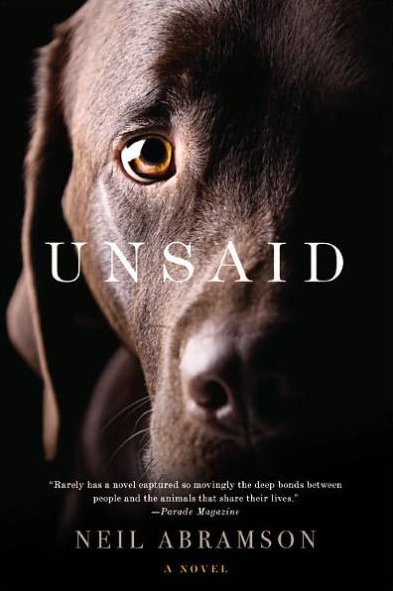 Unsaid Book Cover